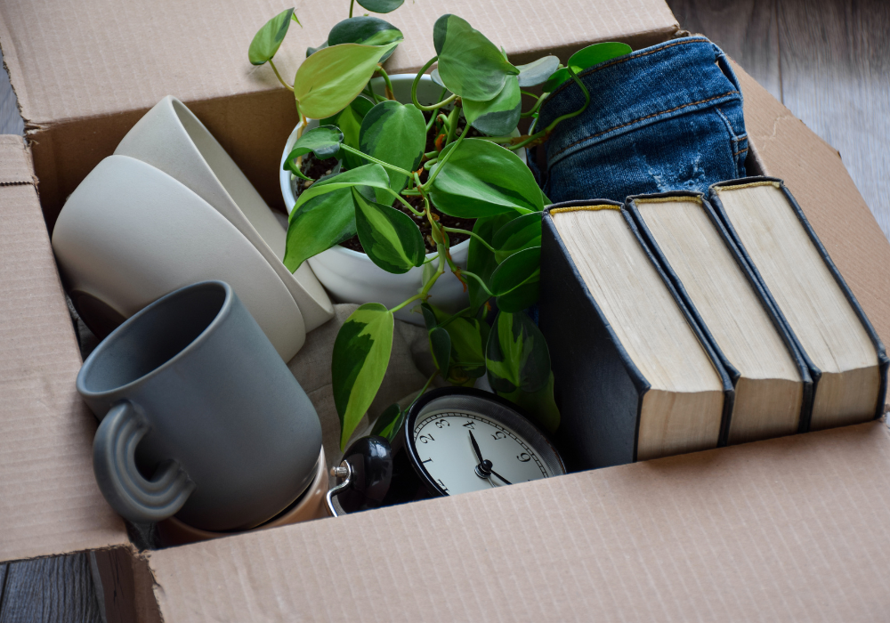 Entrümpelung & Umzüge